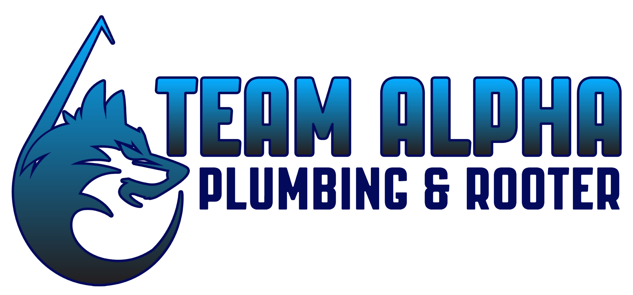 Team Alpha Plumbing